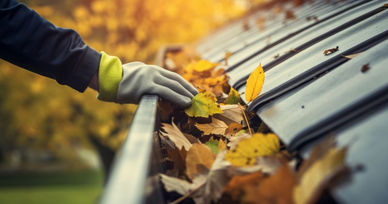 Fall Preparation for Siding